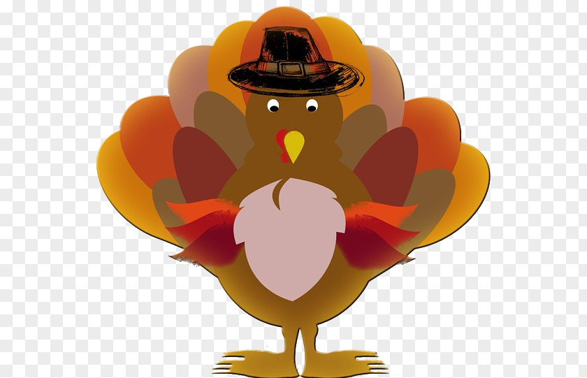 Turkey Bird Thanksgiving Dinner Meat Holiday PNG