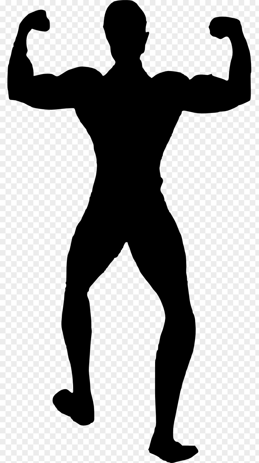 Bodybuilding Silhouette Female Physical Fitness PNG