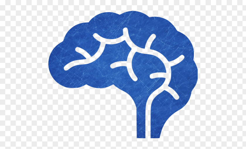 Brain Neurology Neurological Disorder Disease Brainstem PNG