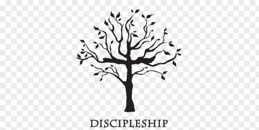 Discipleship Bible Disciple Christianity Gospel Tree Of Life PNG