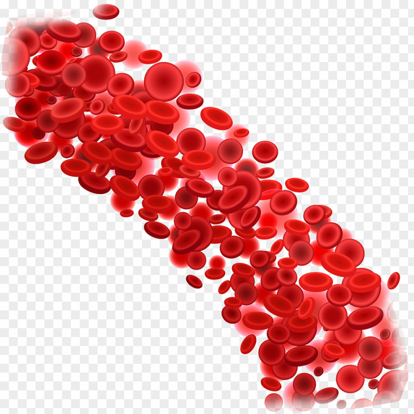 Donation Blood Red Cell White Clip Art PNG