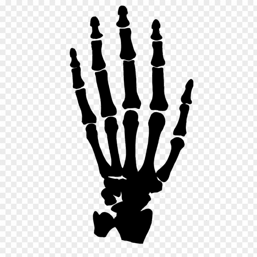 Gesture Hanukkah Human Skull Drawing PNG