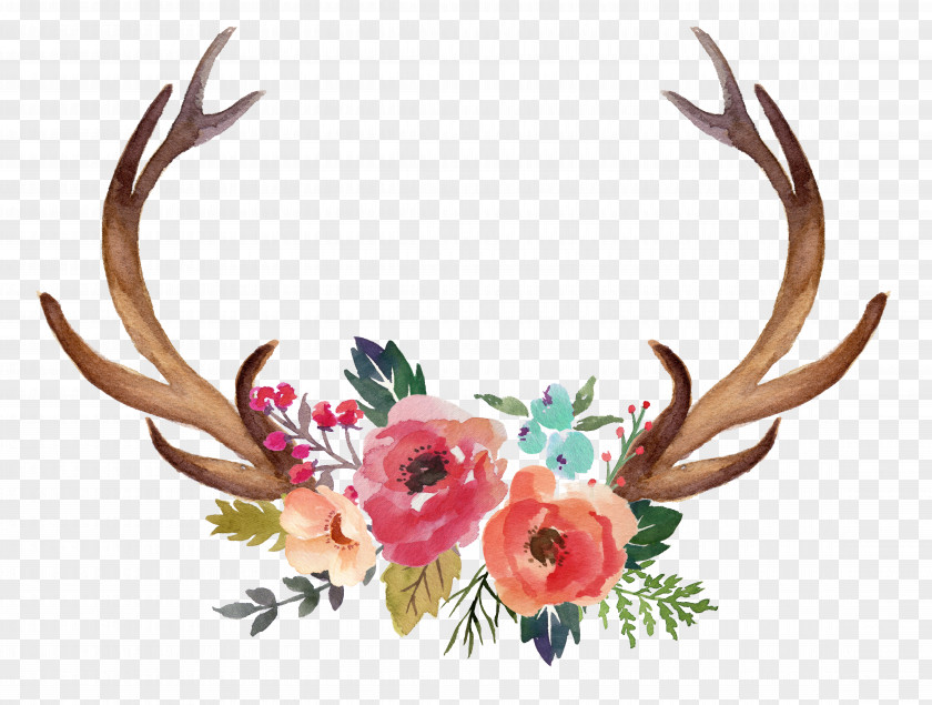 Horn Flowers Deer Antler Moose Flower Clip Art PNG