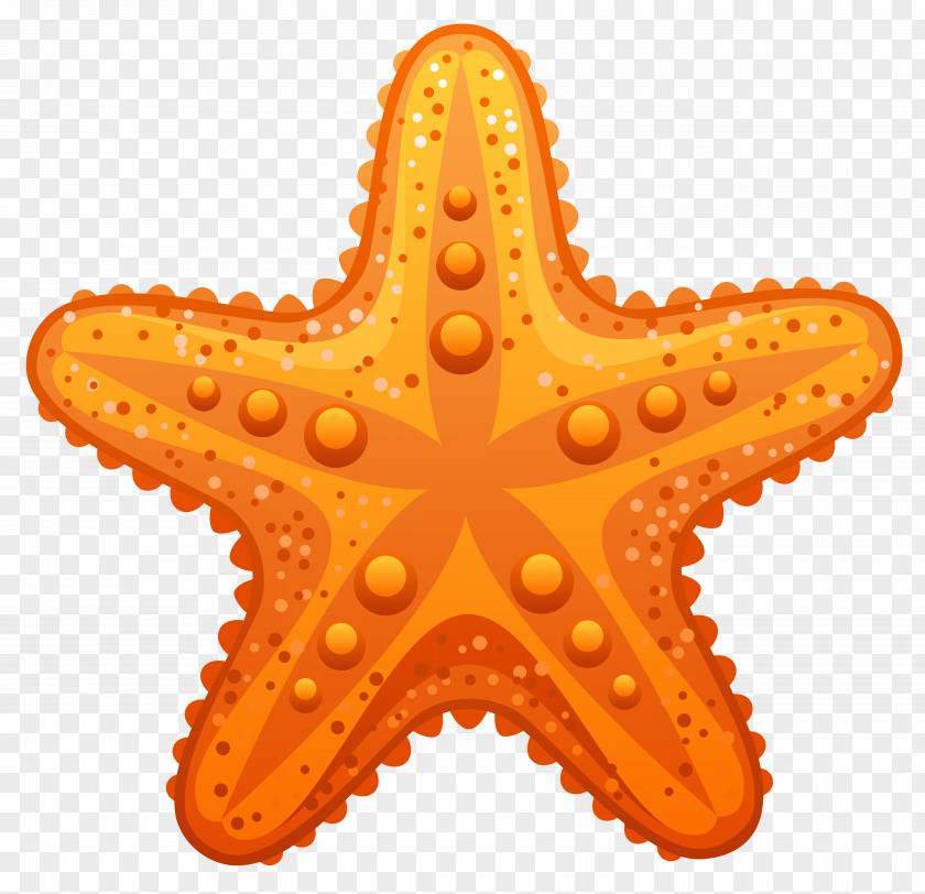Starfish Ocean Clip Art PNG