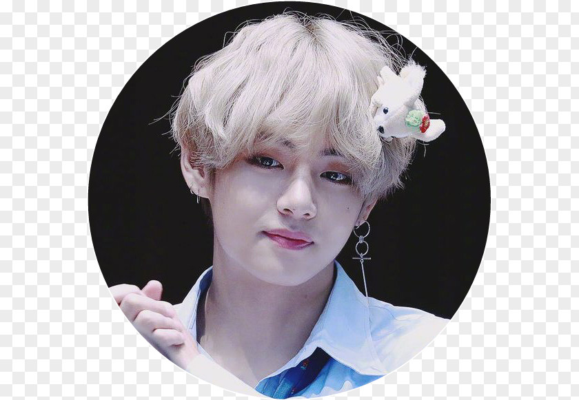 V Bts BTS K-pop Blood Sweat & Tears Fairy PNG