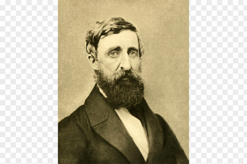 Book Henry David Thoreau Civil Disobedience Walden Essay PNG