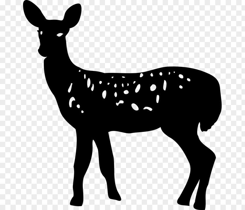 Deer White-tailed Silhouette Clip Art PNG