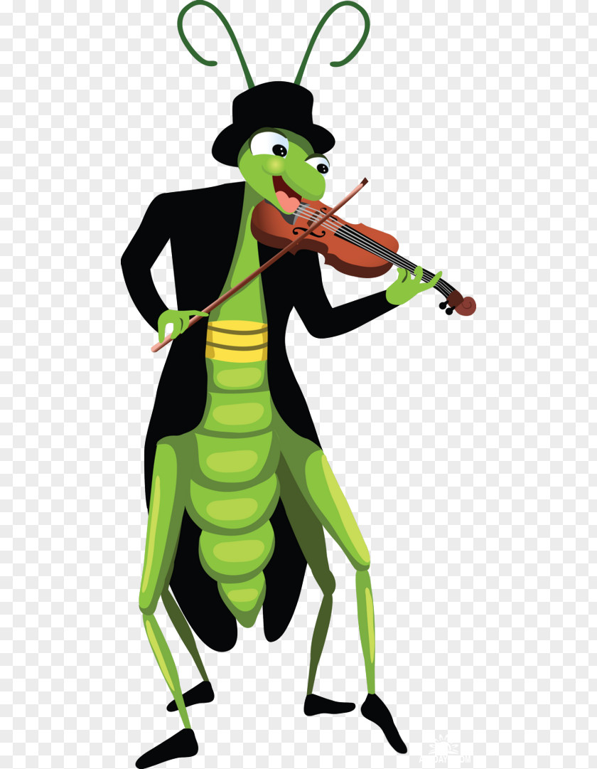 Insect Cartoon Grasshopper PNG