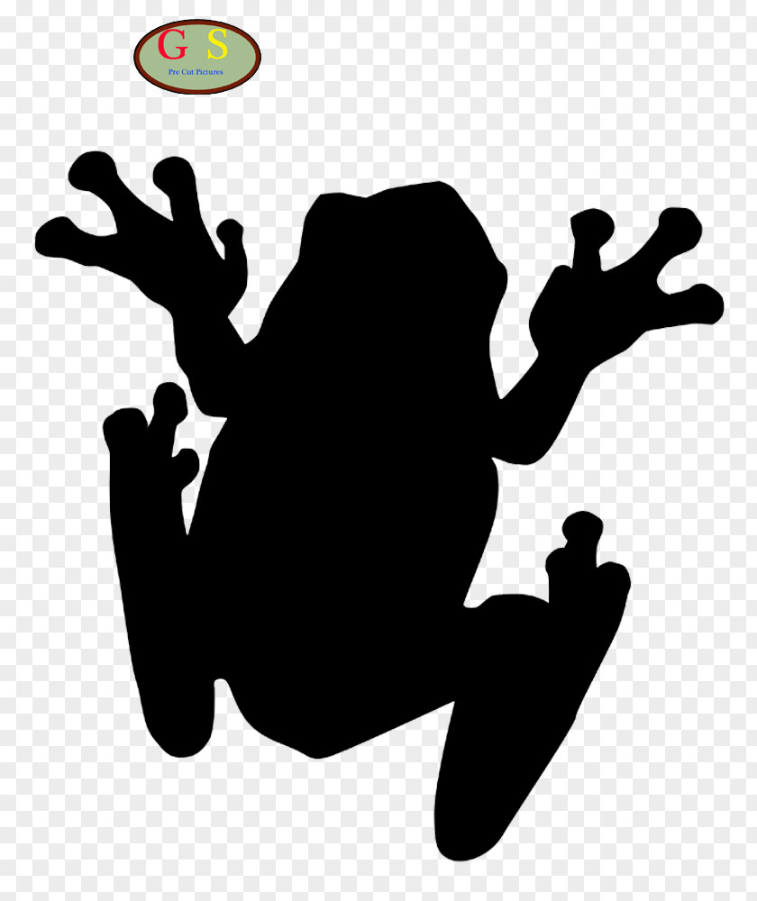 J The Tree Frog Toad Clip Art PNG