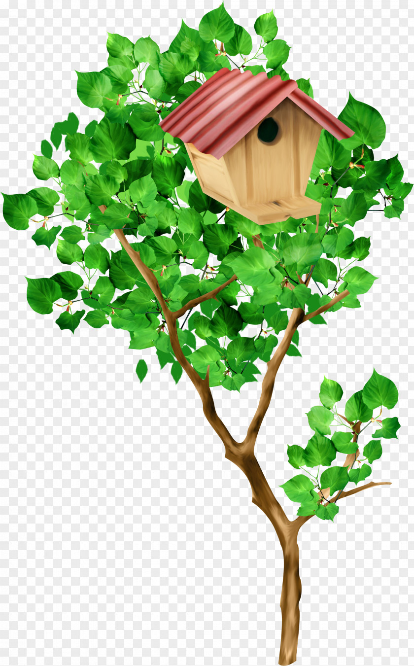 Kartikeya Tree Nest Box Clip Art PNG
