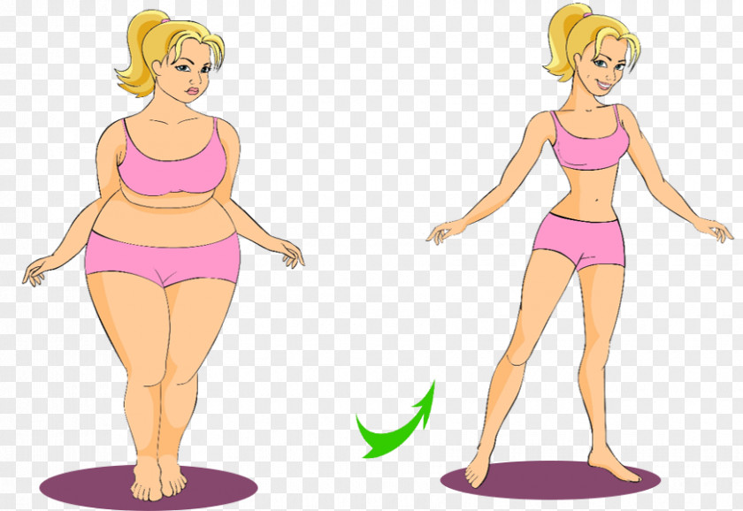 Slimming Tips Cartoon Illustration PNG