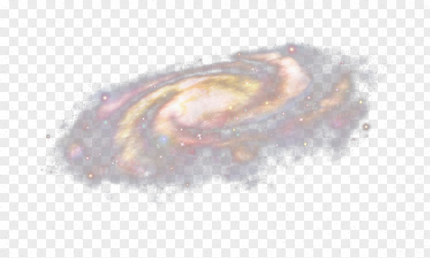 Space Spiral Galaxy Animal Purple PNG