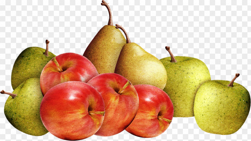 Apple Accessory Fruit Pear PNG