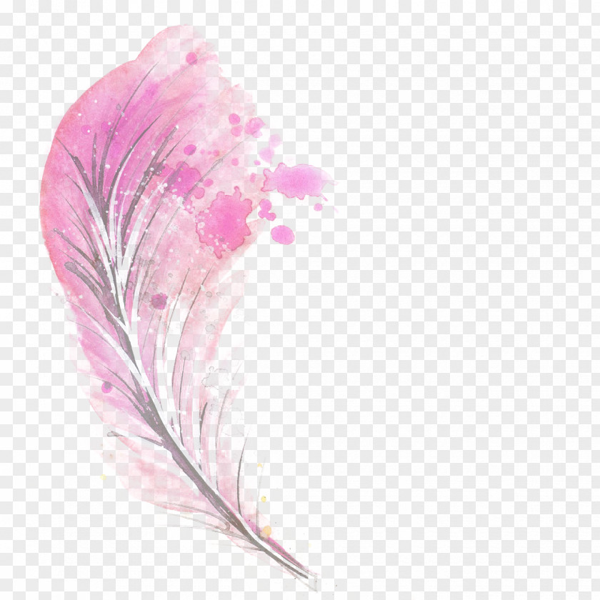Pink Feather Illustration PNG