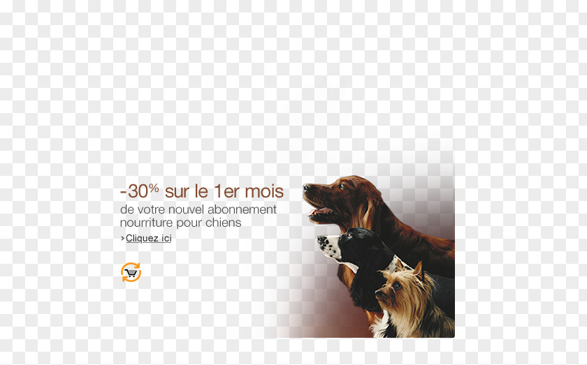Amazon Promo Code 2013 Dog Breed Advertising Leash PNG