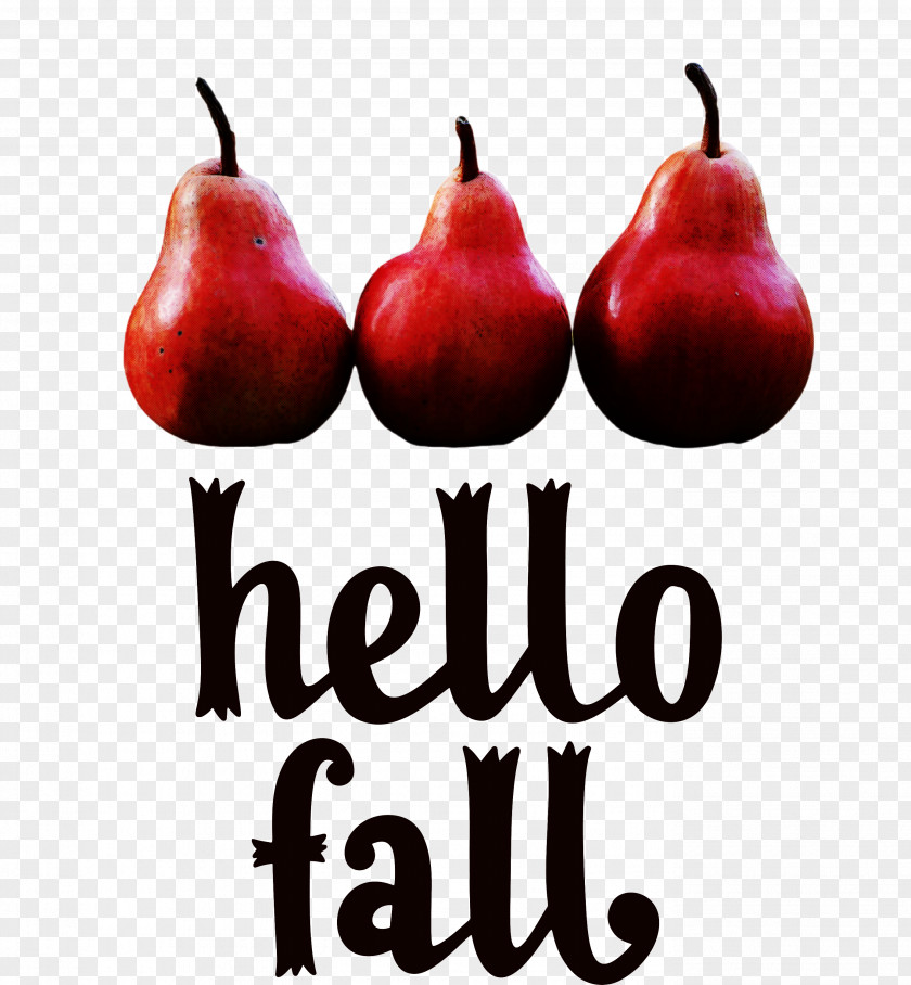 Hello Fall Fall Autumn PNG