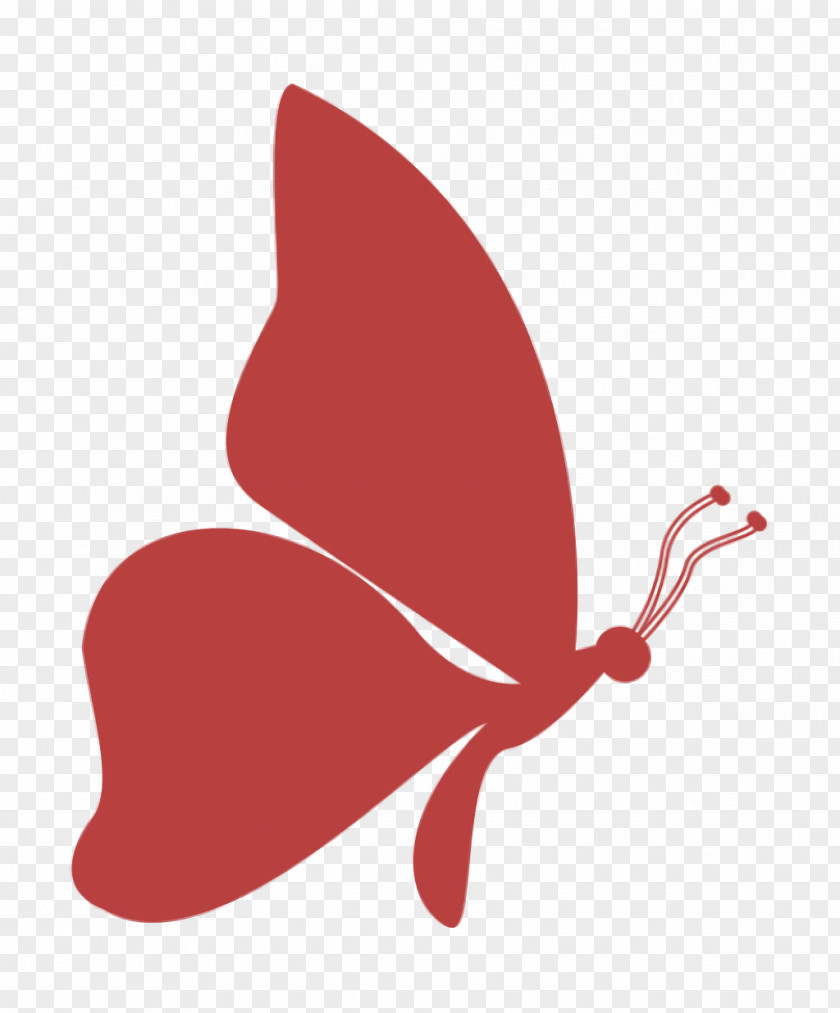 Animals Icon Butterfly Butterflies PNG