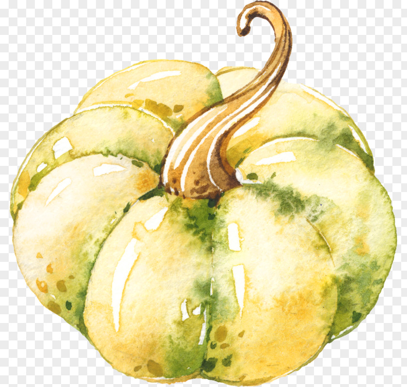 Vegetable Gourd Winter Squash Cucurbita Food PNG