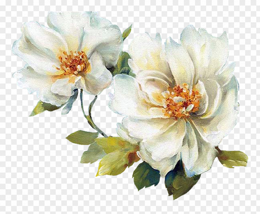 Watercolor White Flower Chinese Painting Floral Design Art PNG