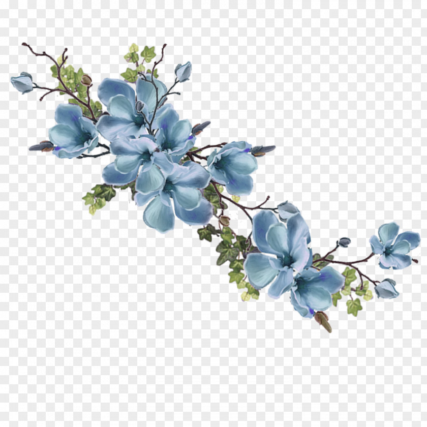 Blossom Prunus Spinosa Flowers Background PNG