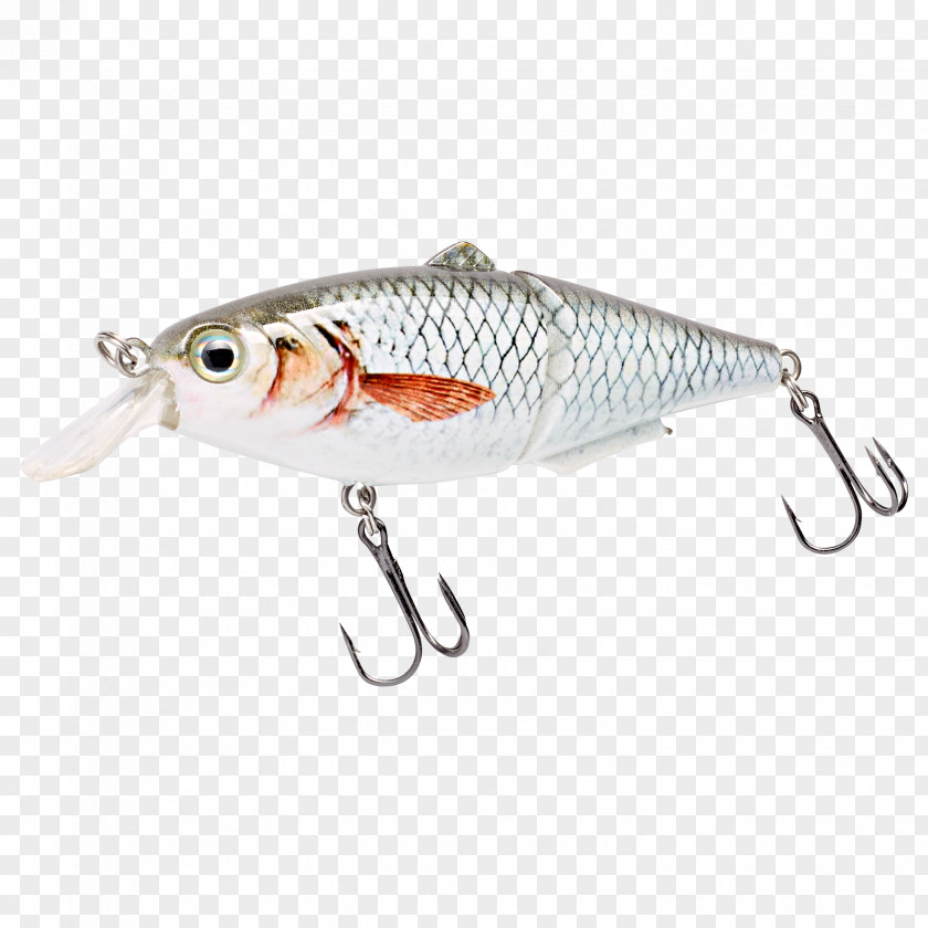 Roach Spoon Lure Plug Fishing Tackle Northern Pike PNG