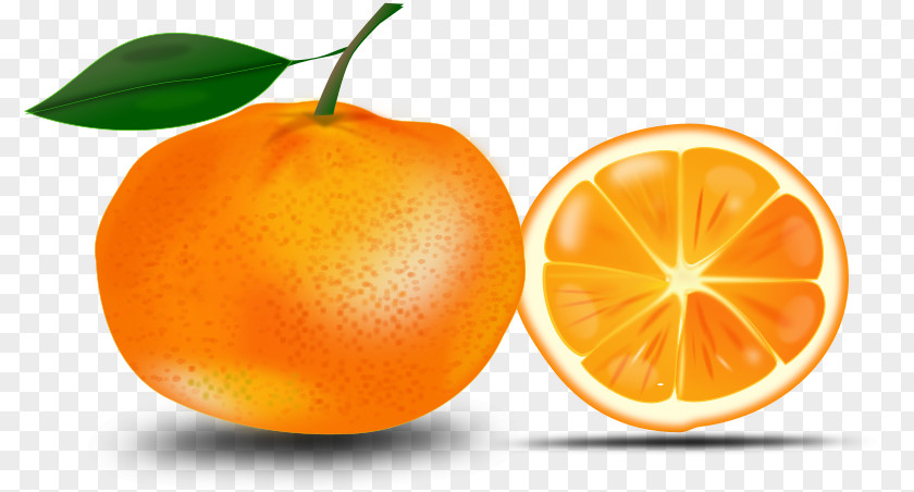 Tangerine Orange Clip Art PNG