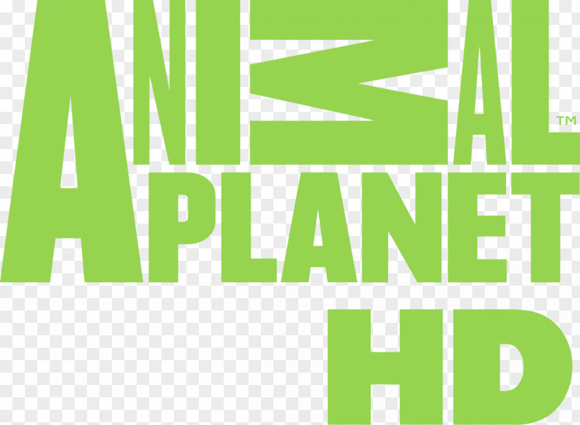 Animal Planet High-definition Television Channel Logo PNG