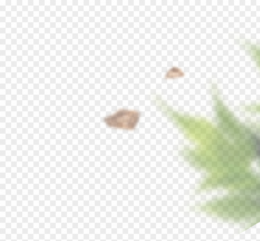 Cat Litter Walnut Leaf Ammonia Lawn Neutralization PNG