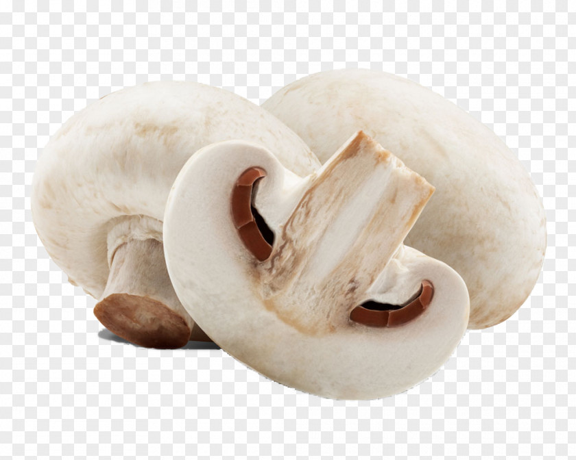 Fresh White Mushrooms Common Mushroom Stock Photography Edible Royalty-free Fungus PNG