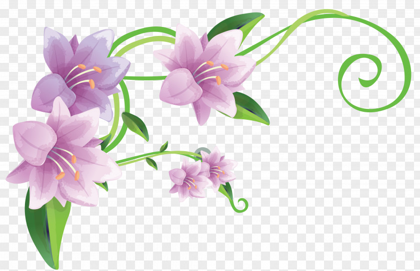 Hand-painted Lily Lilium Motif PNG