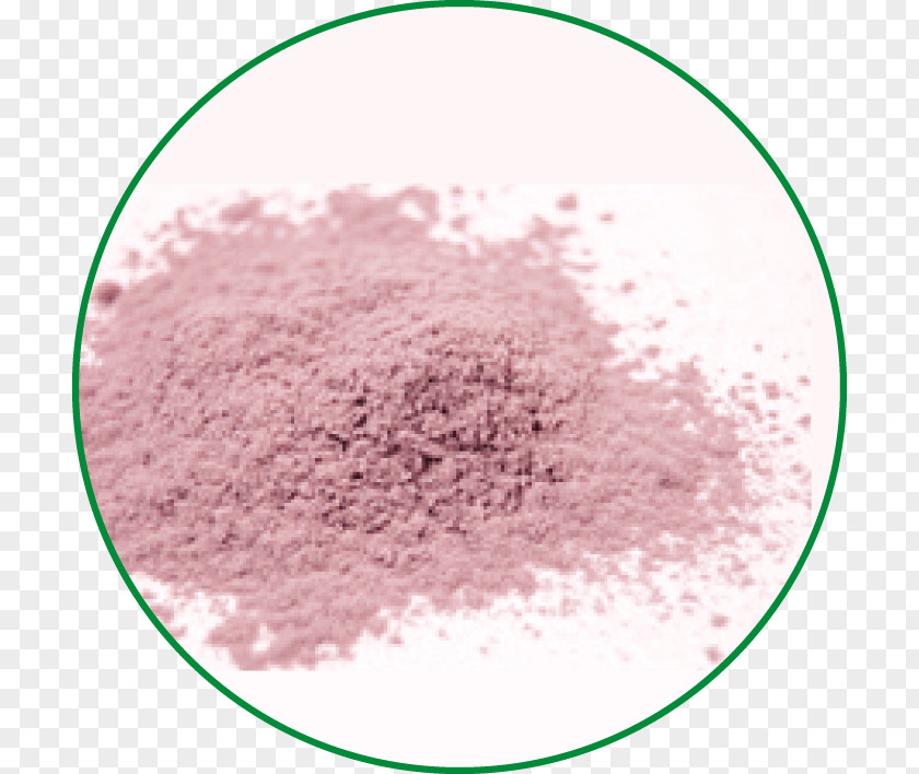 Pulp Açaí Palm Spray Drying Fruta Antioxidant Arecaceae PNG