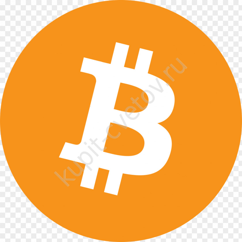 Bitcoin Logo Cryptocurrency Ethereum Litecoin PNG