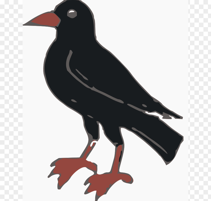 Crow Crows Clip Art PNG