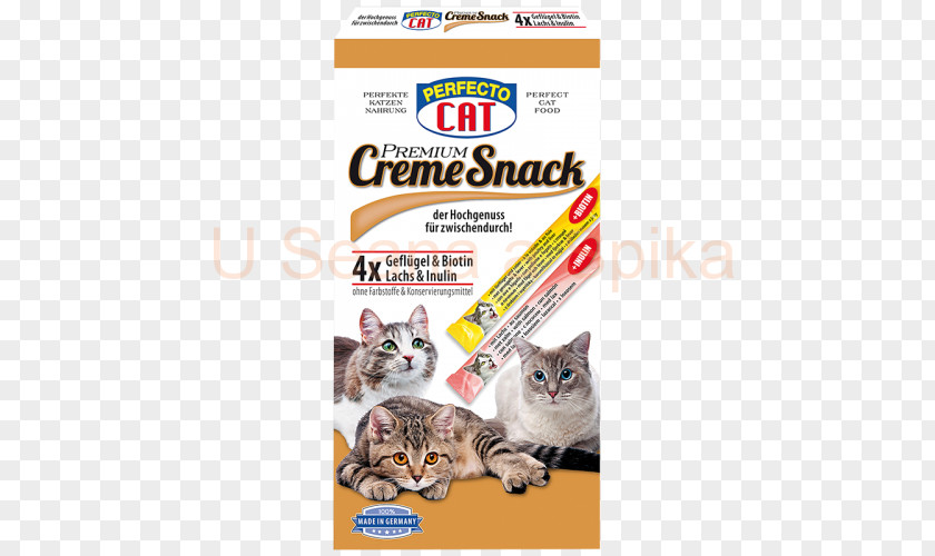 Kitten Whiskers Cat Food Croquette PNG