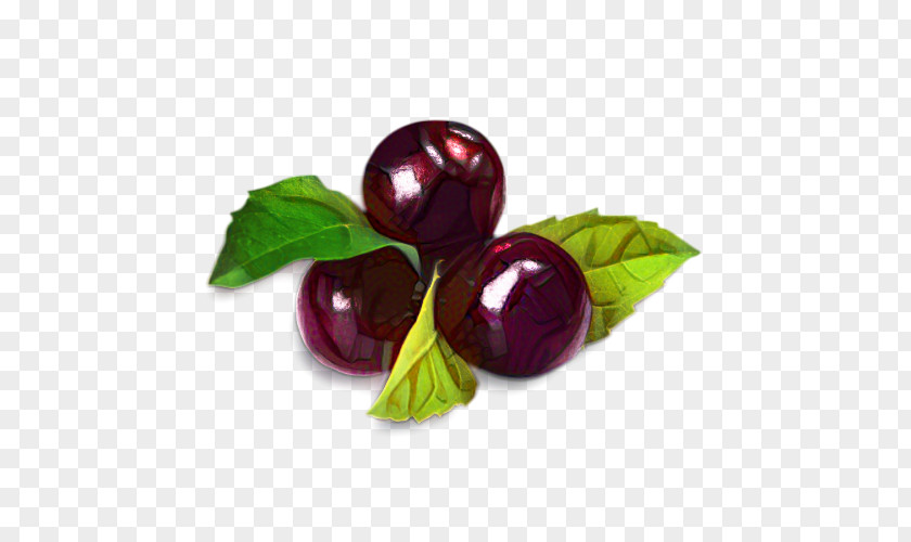 Natural Foods Vegetable Violet Flower PNG
