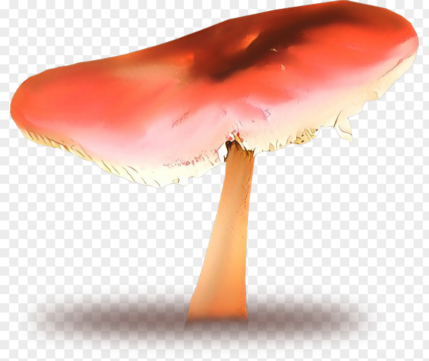 Product Design Medicinal Fungi Mushroom PNG