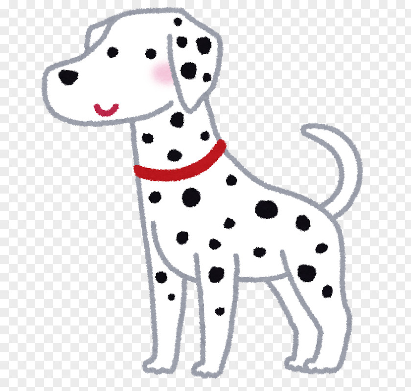 Puppy Dalmatian Dog Cat Breed Companion PNG