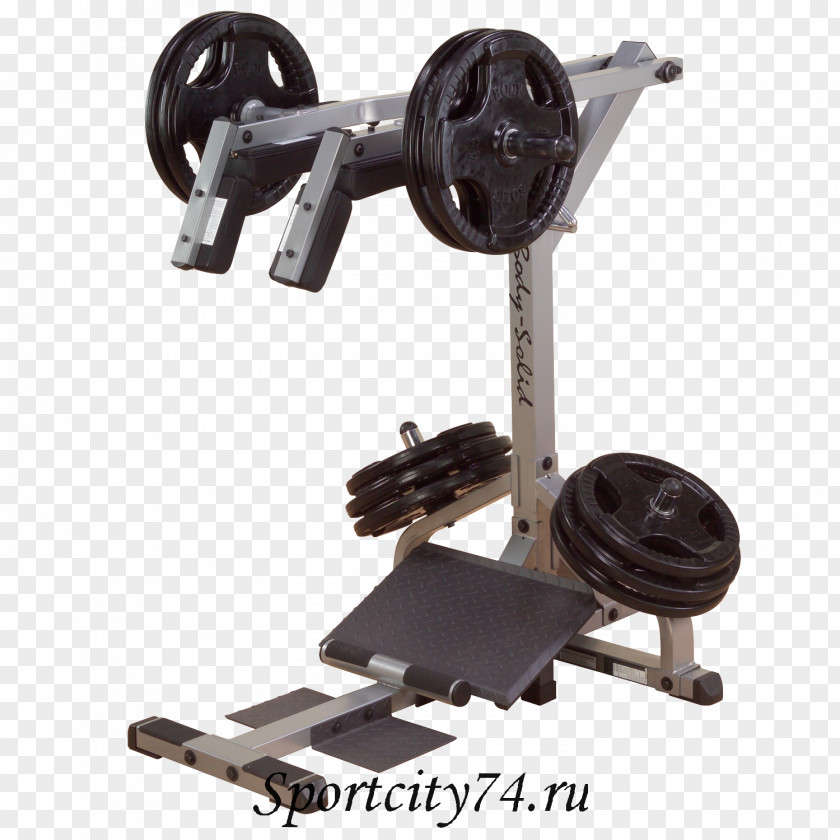 Weightlifting Squat Calf Raises Physical Fitness Human Body PNG