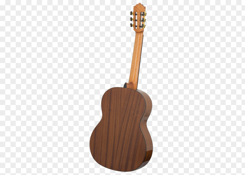 Acoustic Guitar Tiple Ukulele Acoustic-electric Cuatro PNG