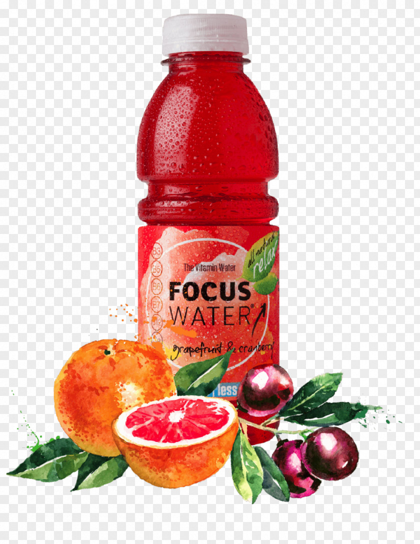 Fruit In Water Pomegranate Juice Cranberry Food Pillow Liquid PNG