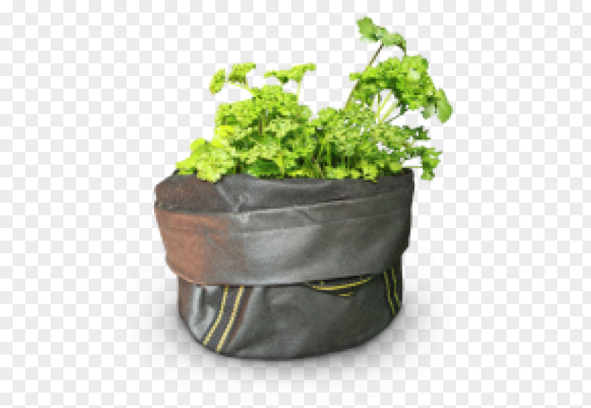 Growbag Flowerpot Herb PNG