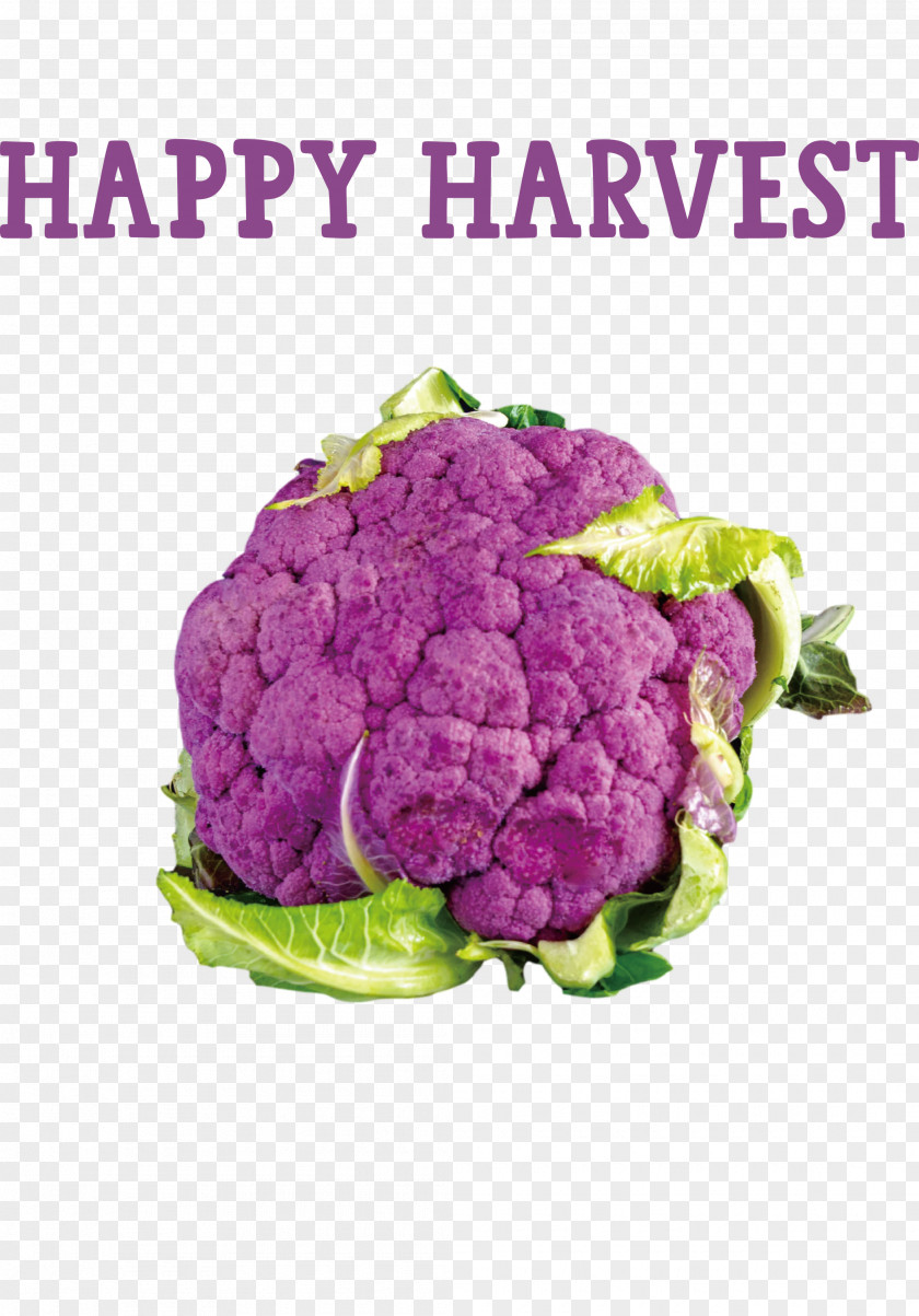 Happy Harvest Harvest Time PNG