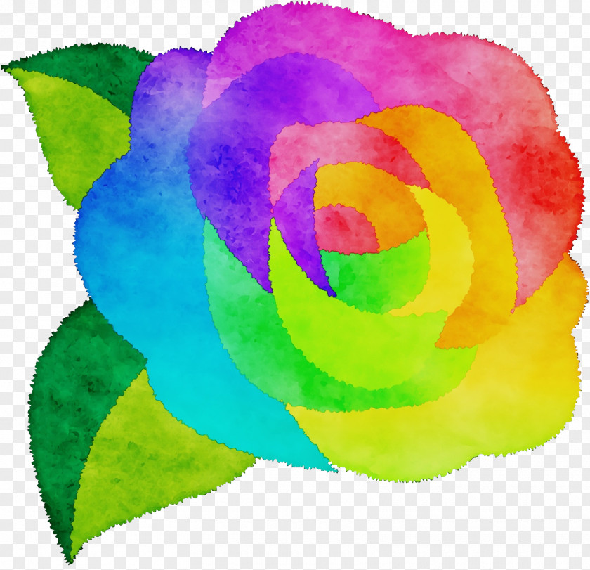 Rainbow Rose PNG