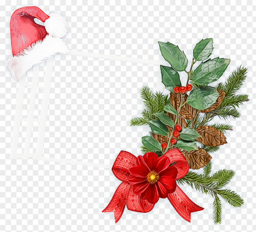 Rose Pine Holly PNG