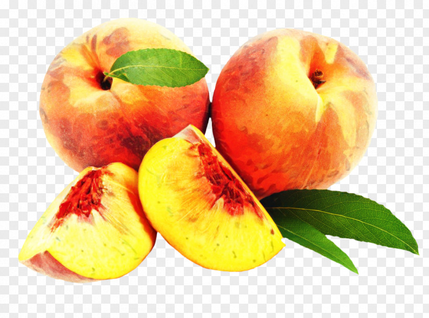 Superfruit Drupe Apple Leaf PNG