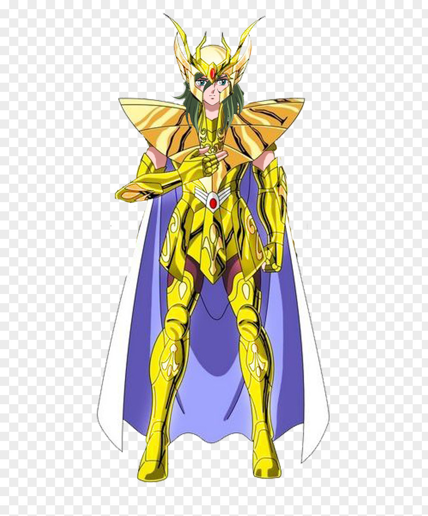 Virgo Pegasus Seiya Shaka Andromeda Shun Saint Seiya: Knights Of The Zodiac Dragon Shiryū PNG