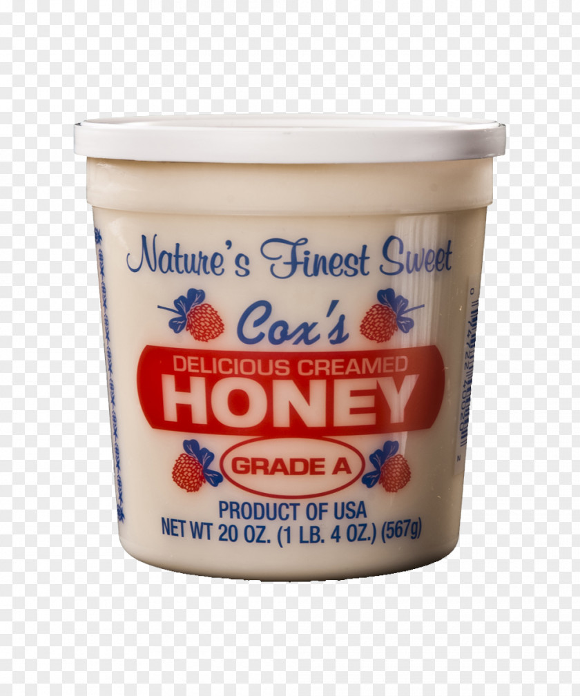 Bee Honey Beehive Creamed PNG