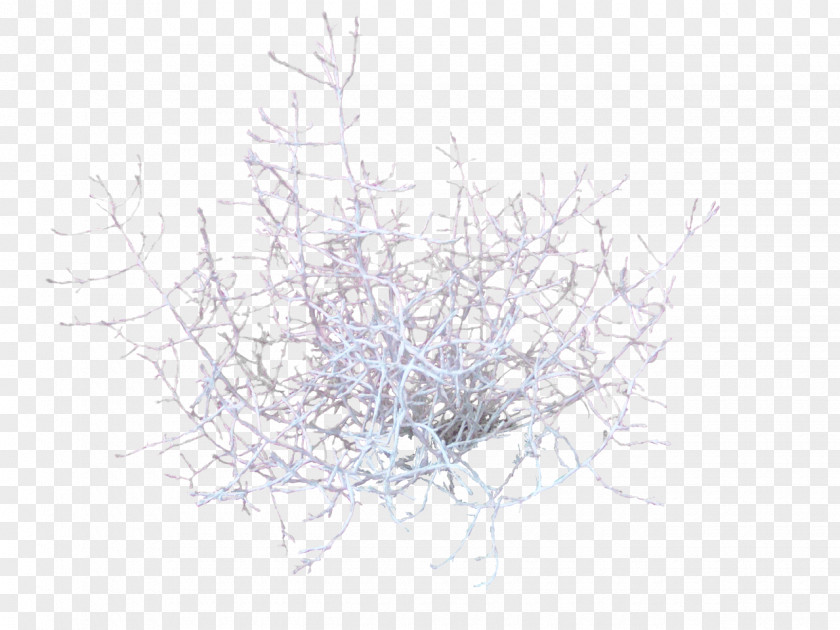 Coral Tree Branch Twig Lavender Purple PNG