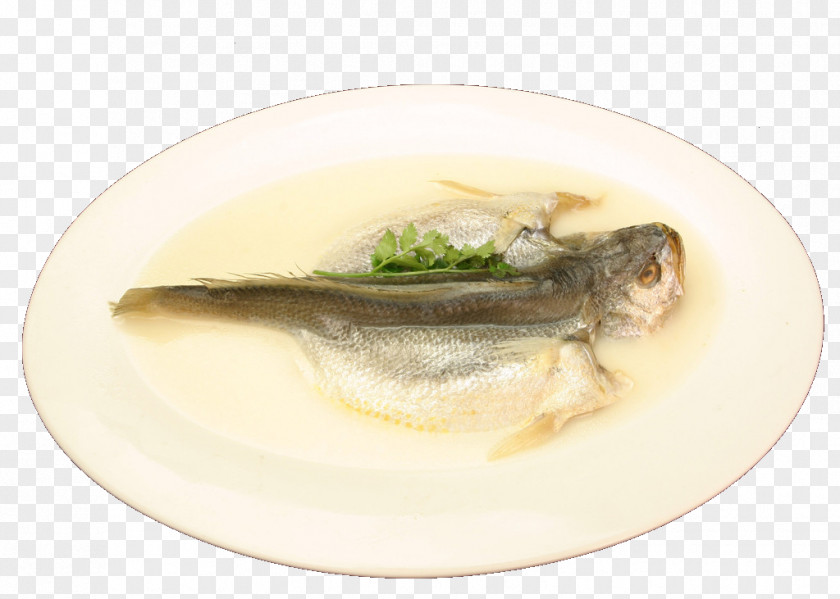 Fish Soup Larimichthys Crocea Polyactis PNG