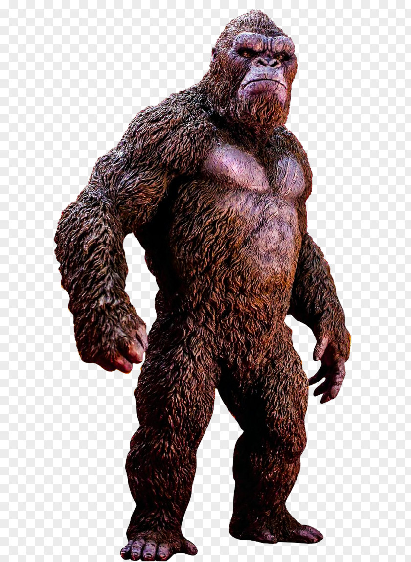 Kong King Ape YouTube Wonder Woman Statue PNG